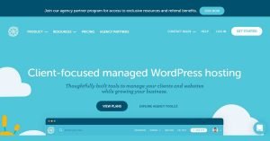 Read more about the article GetFlyWheel REVIEW