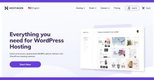 Read more about the article HOSTINGER REVIEW