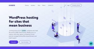 Read more about the article KINSTA REVIEW