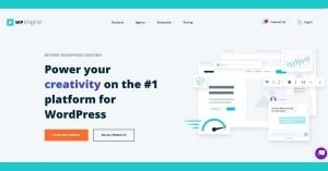 Read more about the article WP-Engine Review