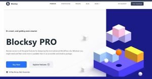 Read more about the article Blocksy Theme Review