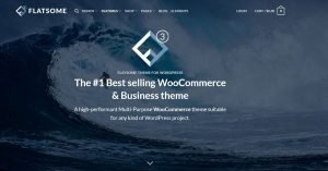 Read more about the article Flatsome Theme Review