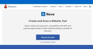 Read more about the article Neve Theme Review