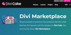 Read more about the article Divi Cake Review