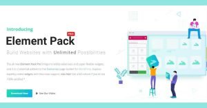 Read more about the article Elements Pack Review