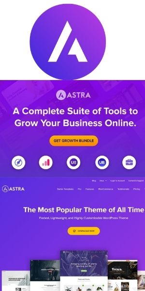 Astra Theme