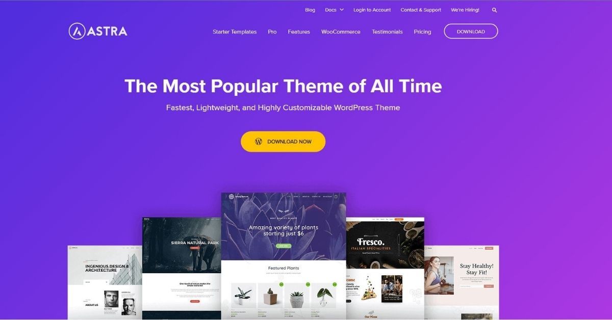 Read more about the article Astra Theme Review