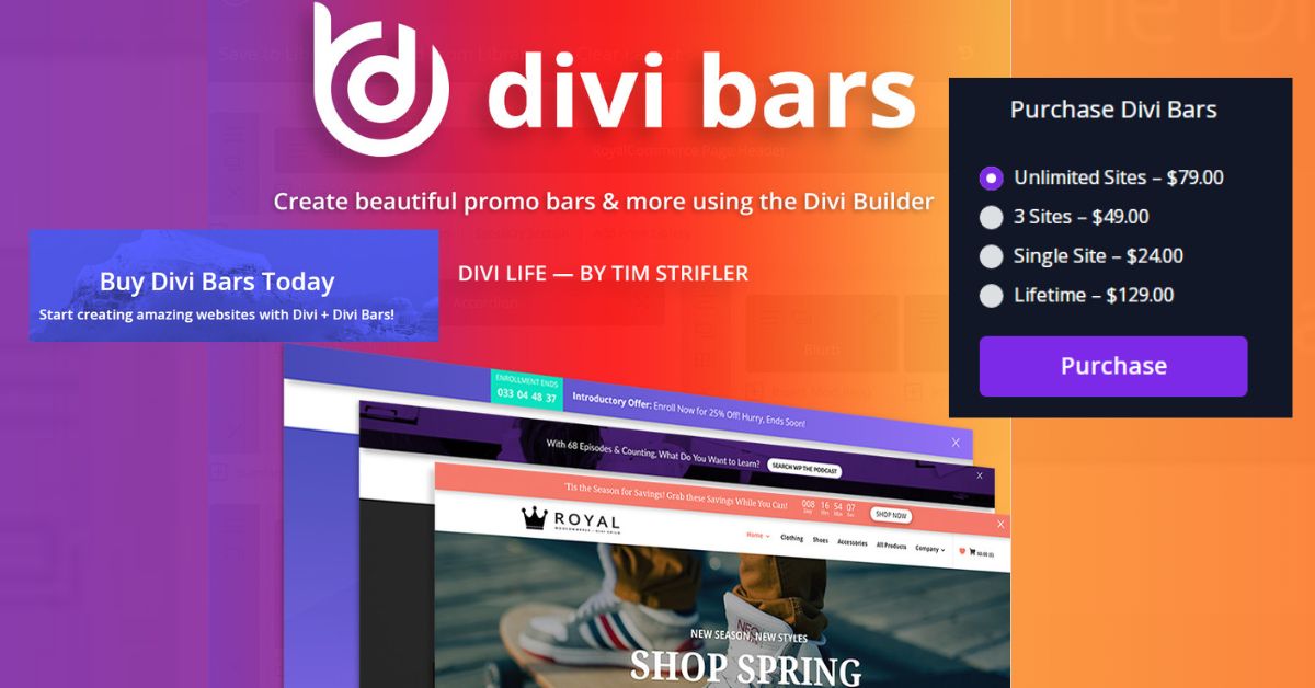 Read more about the article Divi Bars Review