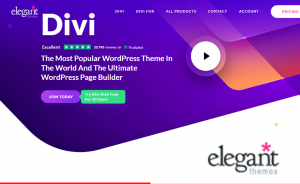 Read more about the article Divi Theme Review 