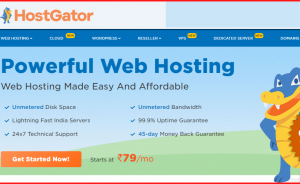 Read more about the article HostGator Review