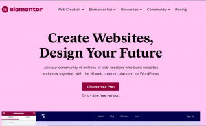 Read more about the article Elementor Review