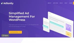 Read more about the article AdSanity Review