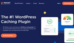 Read more about the article WP Rocket Review